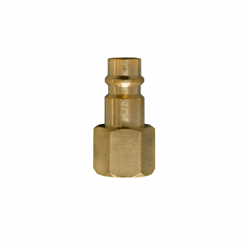 Kištukas 1/4" GW Euro